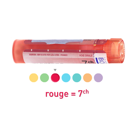 Boiron allium sativum 7ch, 1 tube de 80 granules