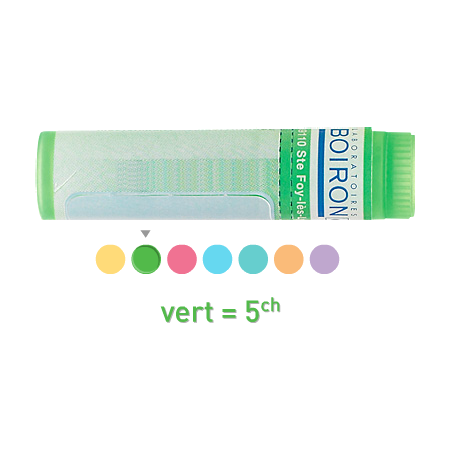 Boiron ambra grisea 5ch, 1 dose de globules