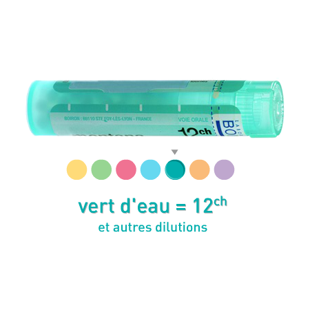 Boiron apis mellifica 12ch, 1 tube de 80 granules