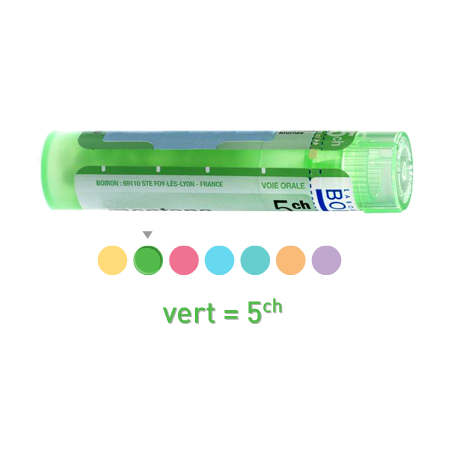 Boiron apium virus 5ch, 1 tube de 80 granules