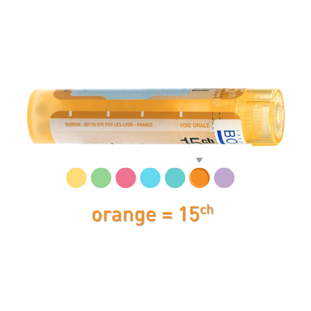 Boiron aranea diadema 15ch, 1 tube de 80 granules