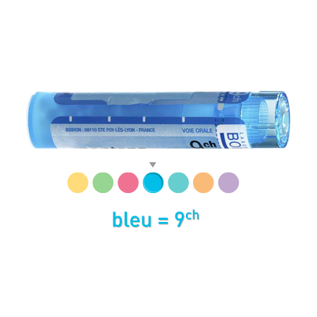 Boiron articul. genou 9ch, 1 tube de 80 granules