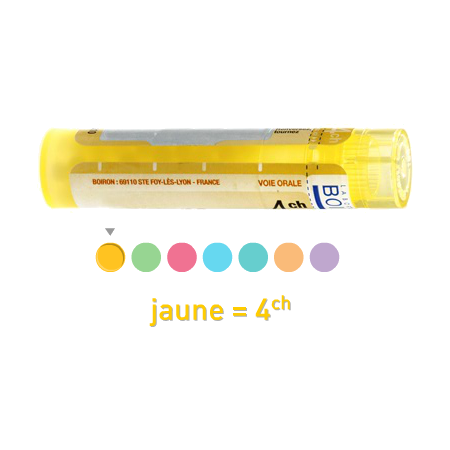 Boiron erysimum off. 4ch, 1 tube de 80 granules