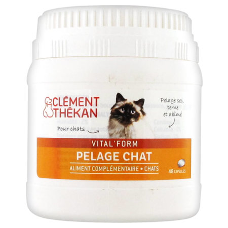 Clement cpr pelage chat b/48