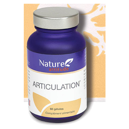 Nature attitude articulation, 60 gélules