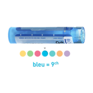 Boiron articul. genou 9ch, 1 tube de 80 granules