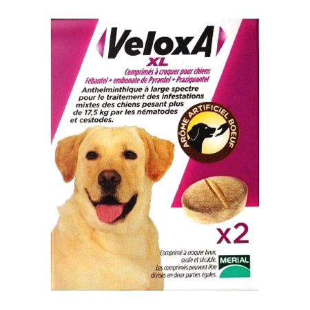 Veloxa XL Comprimes à Croquer pour Chiens, Boîte de 1 plaquette de 2 comprimés a croquer